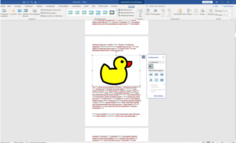 Een boek maken in Word, kan dat? - Bookadew