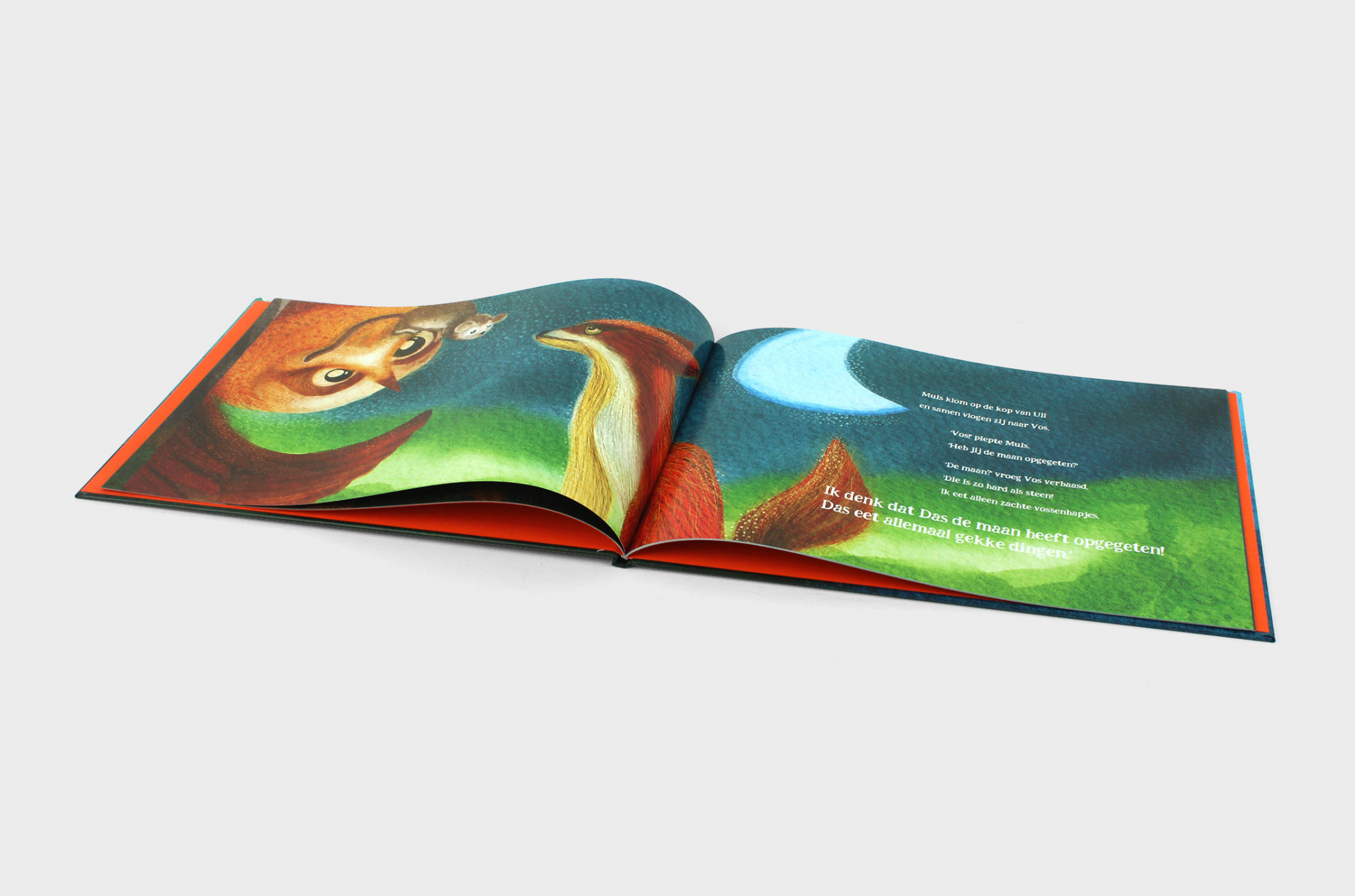 Kinderboek maken - Bookadew